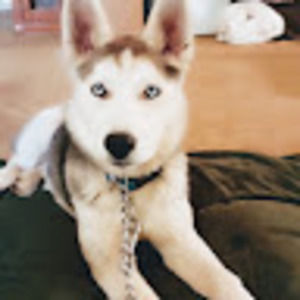 Meet your Posher, Suzanne